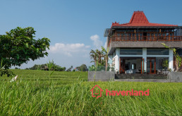 Padi Palace Villa: Your Gateway to Luxury Bali Villa Rental with Private Pool